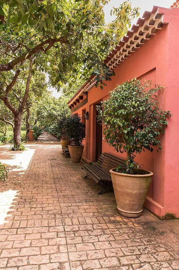 Homeforguest Cosy Rural Flat La Lavanda Surrounded By Nature Tacoronte Spain